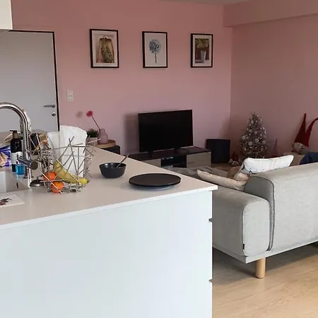 Zeer Ruim Appartement In Oostende Apartment